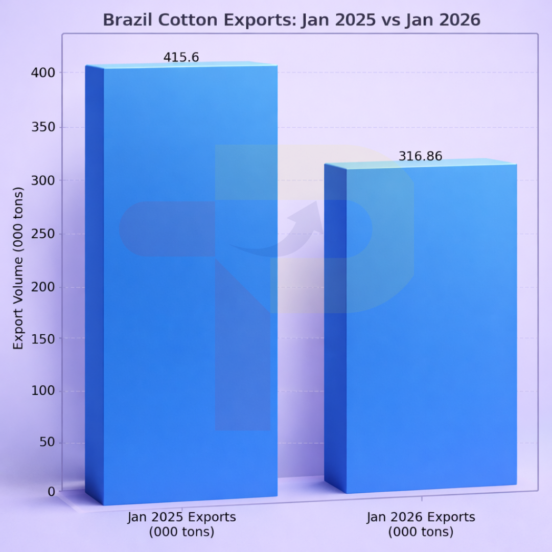 Brazil Cotton Prices Edge Up 1.7% as January Exports Drop 23.8%