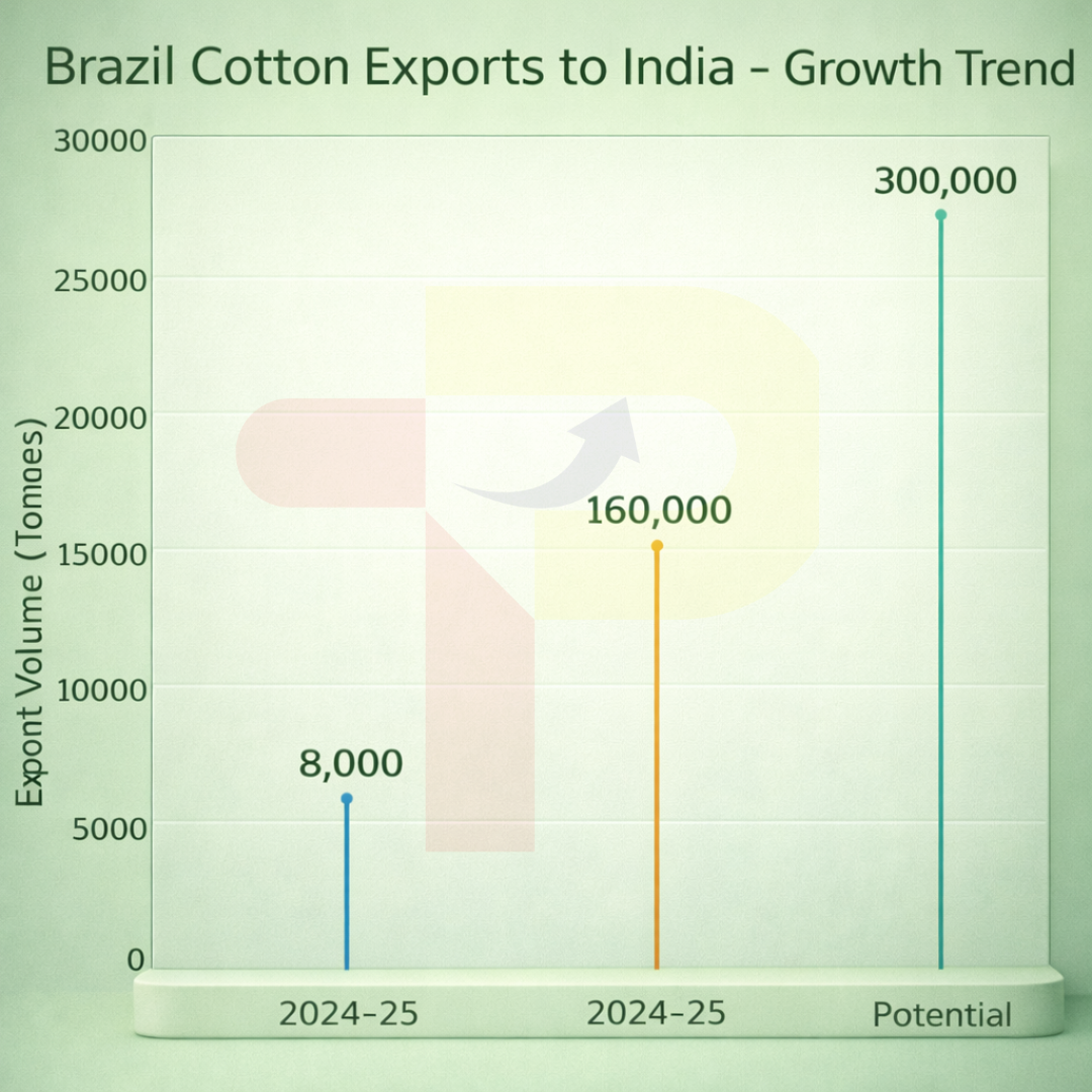 Brazil Targets India to Expand Cotton Exports Under Mercosur Pact